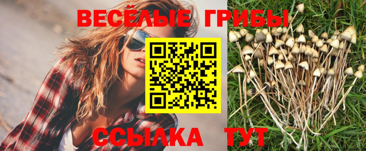 Псилоцибиновые грибы Psilocybe  Галлюциногенные грибы Cubensis  Вход с VPN  Серов 