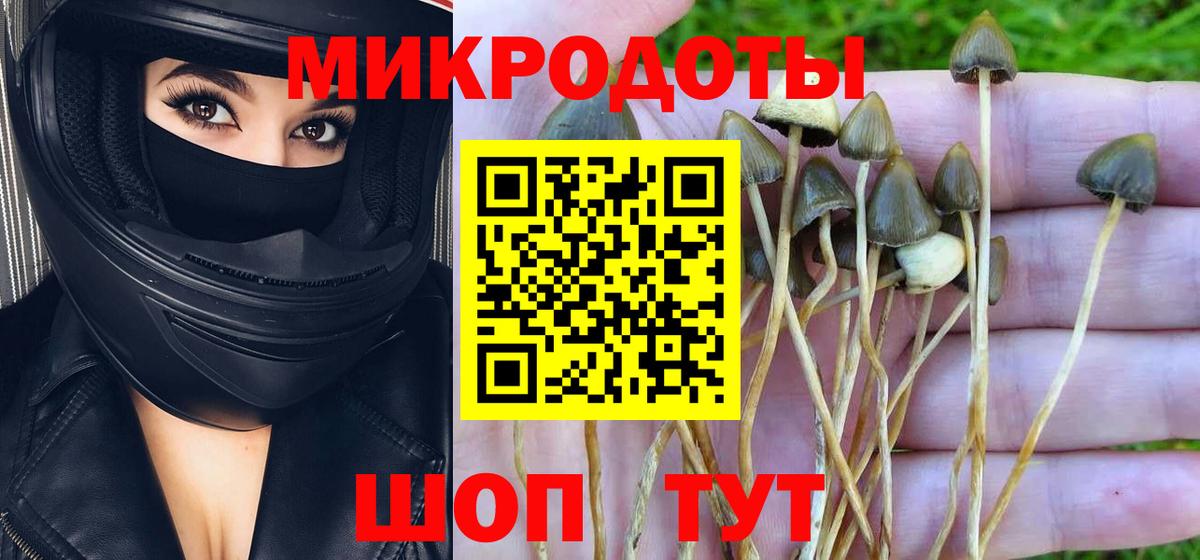 Галлюциногенные грибы мицелий Серов